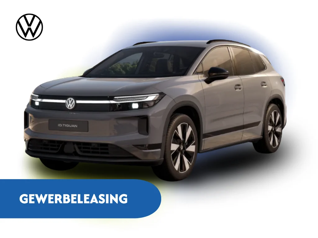 Polo R Line Gewerbe (1)